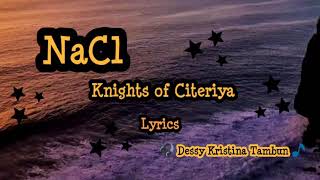 NaCl - Knights of Citeriya (Lyrics) - Original Mix