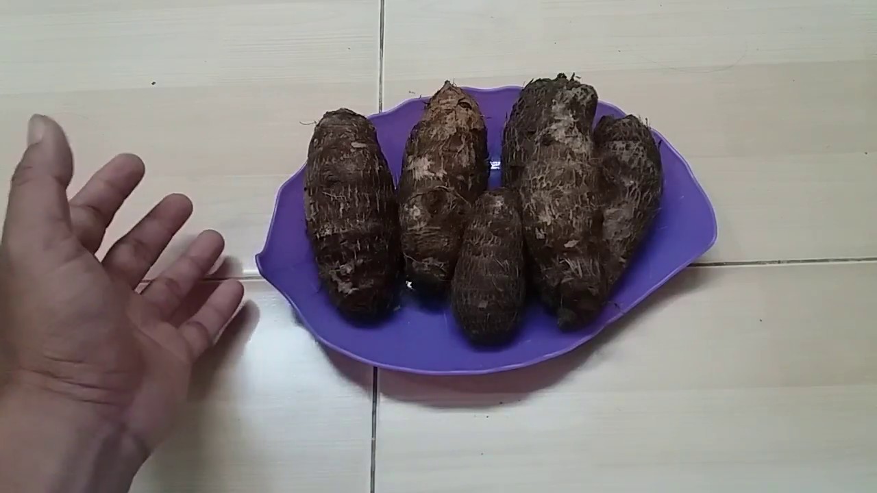 Cara Mengupas Ubi Talas Yang Mudah 