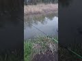 Łowienie płoci na pzw