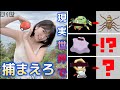 【第1話】現実世界でポケモンを捕まえろ!【イトマル✕メタモン✕メルタン】