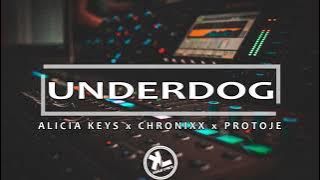 ALICIA KEYS - UNDERDOG (REMIX) FT. CHRONIXX, PROTOJE (LYRICS VIDEO)