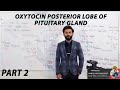 Oxytocin Posterior lobe of Pituitary Gland Part 2 | biology lecture in hindi