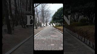 스포원파크 탄생의신비관 영상