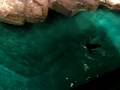 New England Aquarium