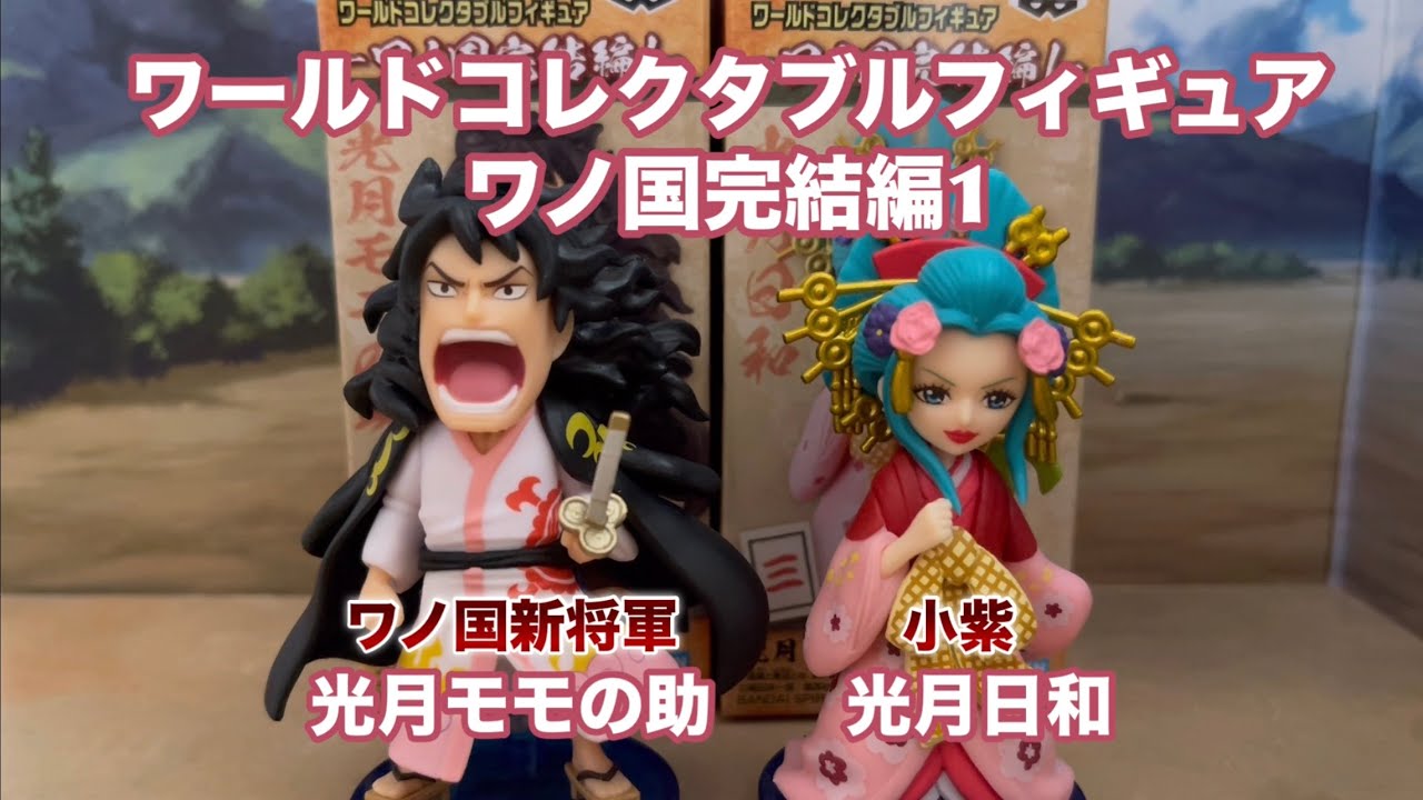 ワンピース ワールド コレクタブル フィギュア ワノ国完結編2 12個