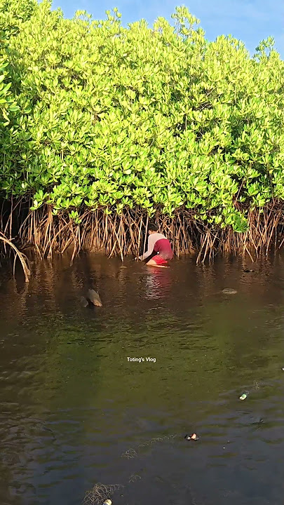 Kalita lang kawala nasa mababaw lang unta #TotingsVlog #shorts #short #fyp #fy #seafood #nature #fyy