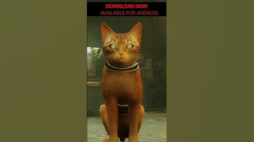 This Player Shows You How to Play Stray on Android