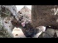 ペインキラー 1級