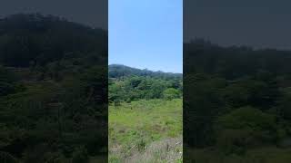 Awumngeni Umka Mfwenu Yena Ebephila