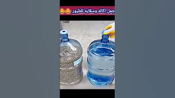 اجمل سقايه واكاله للطيور 