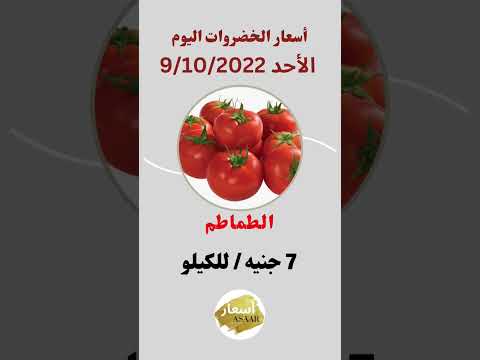 سعر الخضروات اليوم أسعار الخضروات اليوم الأحد 9 10 2022