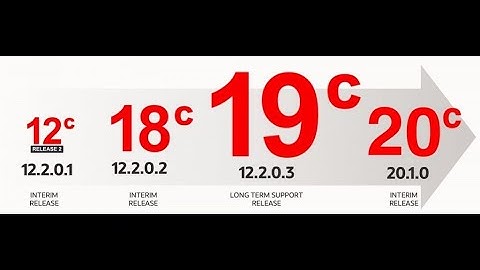 Oracle 19c|Pluggable Database | Multi-Tenant Architecture | Deep Dive PDBs | Oracle 19c CDB and PDBs