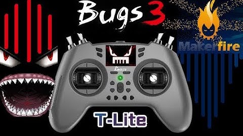 MJX BUGS 3 Flight on Makerfire T-Lite Multiprotocol Controller Mild Wind Brushless Drone Test Review