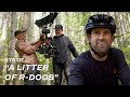 A Litter Of R Dogs Go Behind The Scenes With The Anthill Films And Slash A Litter Of R Dogs Go Behind The Scenes With The Anthill Films And Slash