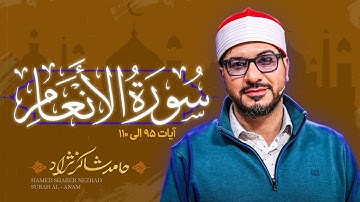 استاد حامد شاکرنژاد | تلاوت زیبای سوره أنعام | Hamed Shakernejad – Surah An‘am
