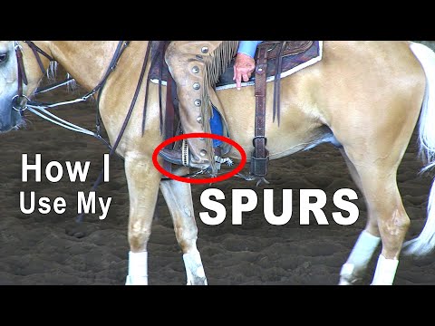 Video: Hest treningsverktøy - Spurs