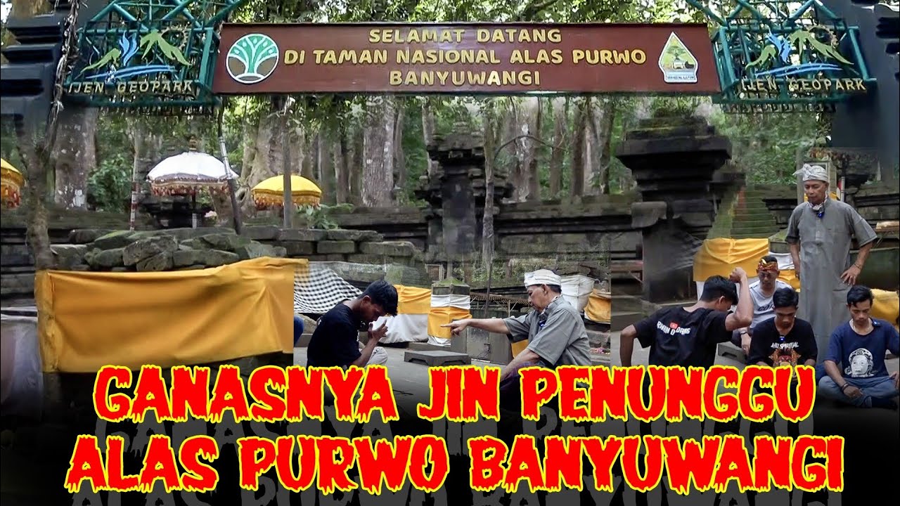 GANASNYA JIN PENUNGGU ALAS PURWO BANYUWANGI