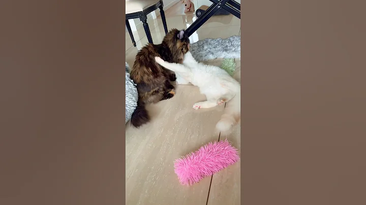 Watch the video about The Secret Price You Pay For Friends #shorts