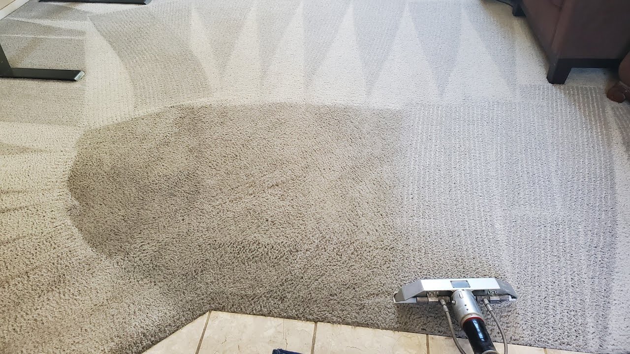 30 Year Old Heavily Soiled Carpet Hasn't been Cleaned in 12 Years ...