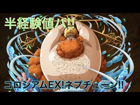 コロシアムネプチューンEX！半じゃもんパ！ 【トレクル・OPTC】