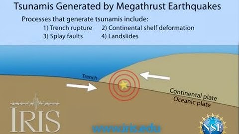 Tsunamis Generated by Megathrust Earthquakes