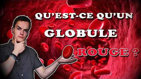 Quelle est la taille d'un globule rouge en mètre ?