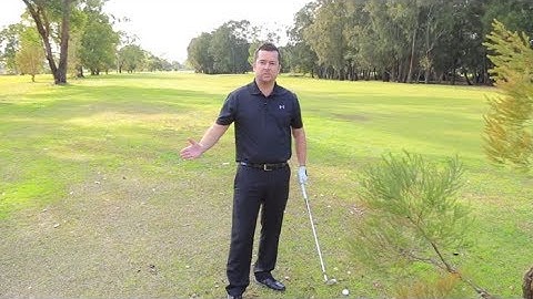 Genesis Golf Link Cup Rule of the Week: Staked Trees