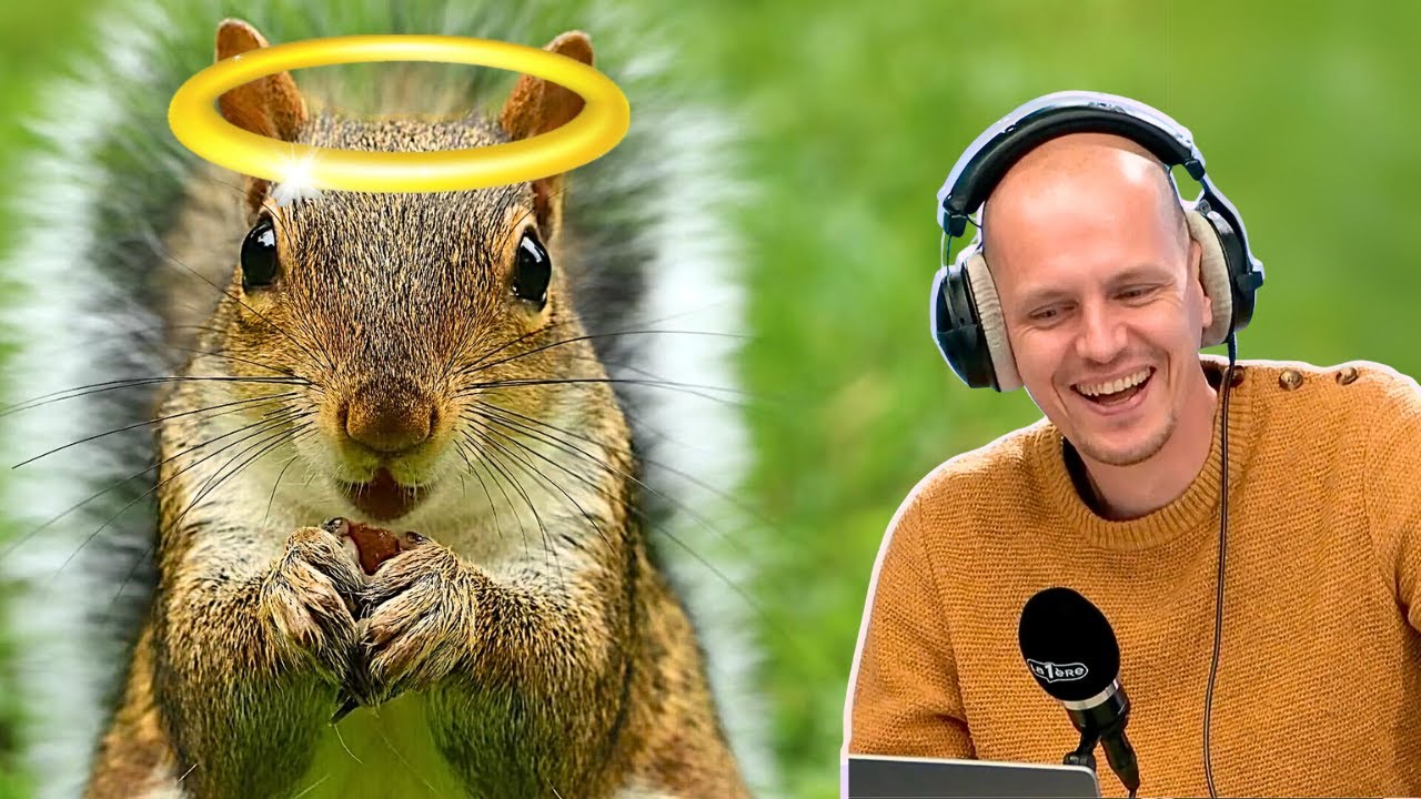 Les animaux arnaqueurs