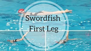 Synchronized Swimming Swordfish