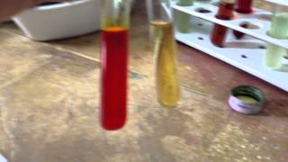 Biochemical Tests Biochemical Tests