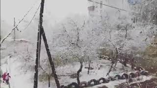 Первый снегопад в Чите, Забайкальский край   5 10 2018
