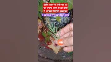 9 बजकर 15 मिनट वाला शमी पत्र का उपाय #ytshorts #viral #shivpuran #shami #pradoshkal @bhakti_CLIP92