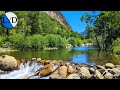 Relax en el Río durante el Verano: Sonidos de Agua, Bosque y Montañas para una Tranquilidad Total