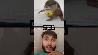 o my god 😱 kya game hai #shorts #mrbeast #viral #video