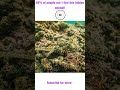 Did you find it! #animals #quiz #foryou #shorts #ocean #fish