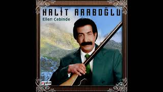 HALİT ARAPOĞLU - ELLERİ CEBİNDE ORJİNAL KAYIT Resimi