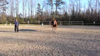 Desi Walk - Lunge Warm Up
