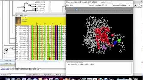 Running an Evolutionary Trace Analysis through your web browser