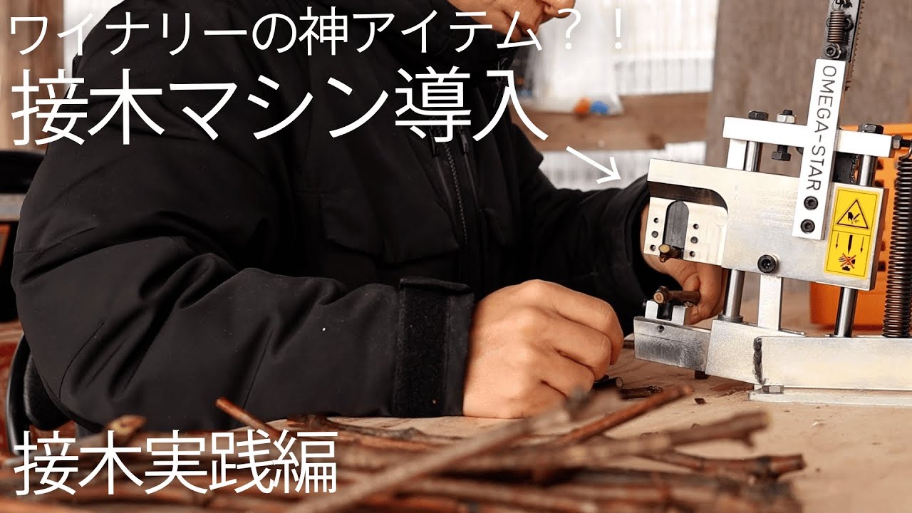 【接木実践編】ワイナリーの神アイテム?!接木マシンで苗木作り