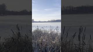 Jezioro Wolsztyńskie