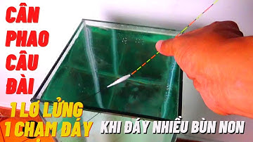 Hướng dẫn cách cân phao câu đài 1 viên lơ lửng 1 viên chạm đáy cho đáy hồ nhiều bùn non