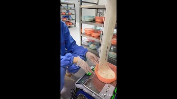 🔴LIVE🔴Fast flatbread making