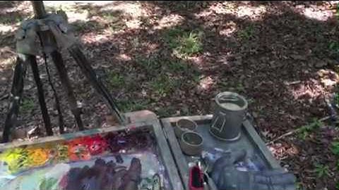 Marc Hanson 2016 WITWIPA Day 3 Video 2