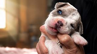 Her Own Mother Bit Her at 5 Days Old... No One Expected Her to Survive Like This