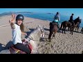 MEDITERRANEAN VIBES AND BEACH RIDE ♫ || unterstützt von PFERD & REITER