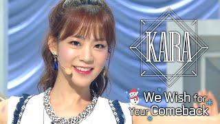 [ We Wish For Your Comeback #6 ] #KARA | SINCE 2007 ~ 2016
