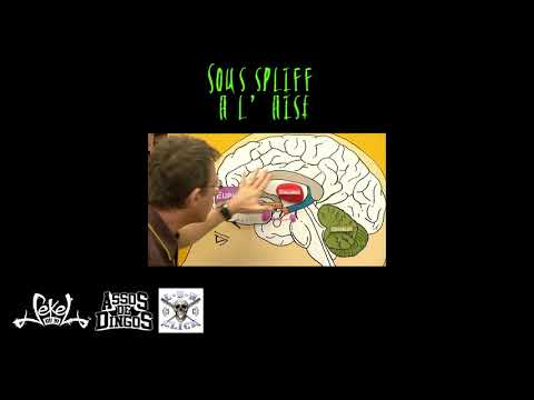 Youtube: Sous spliff à l’aise – Sekel du 91 (Lbn – A2d) – Rap fançais 2018