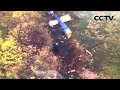 伊朗国家电视台报道：伊朗总统乘坐的直升机发生硬着陆事故 | CCTV中文《新闻直播间》