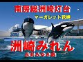 洲崎みれん (南房館山市のマーガレット岬)  永井みゆき曲          君津歌之助