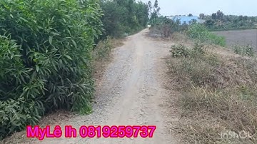 Cần bán nhanh DT 3 mẫu giá 135 triệu 1 công thuộc huyện Thạnh hóa tỉnh Long An